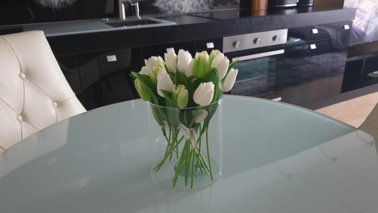 Kvetinovy Apartman A3B V Chomutove 외부 사진